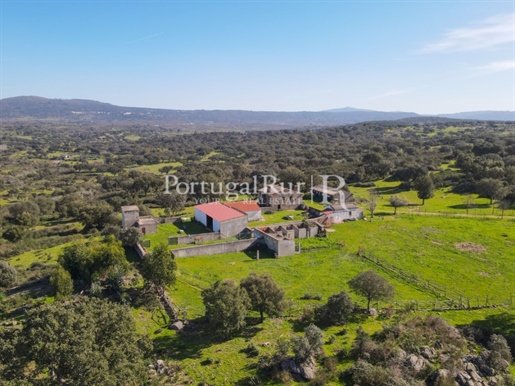151 hectare estate in Carreiras, Portalegre