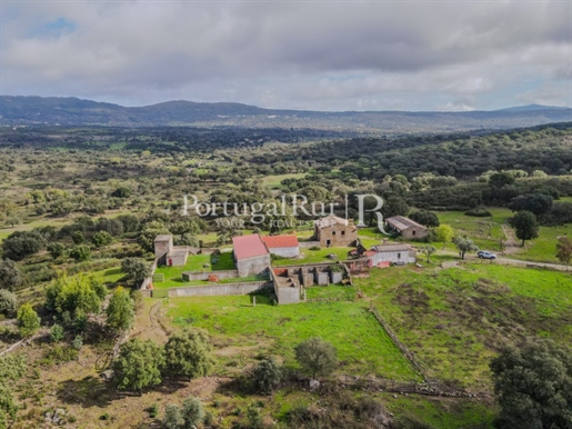 Herdade com 151 hectares em Carreiras, Portalegre