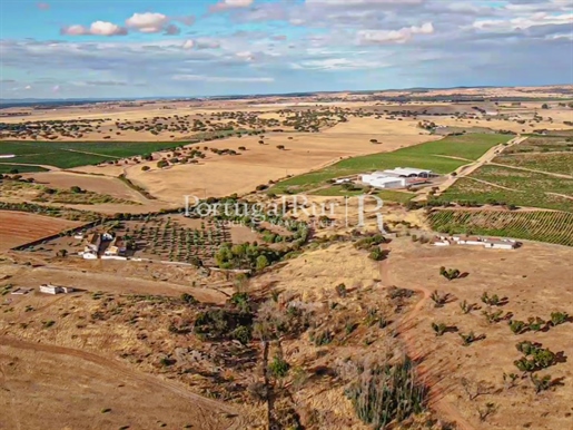 Domaine viticole de 155 hectares dans l'Alentejo