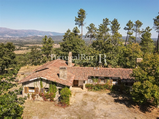 Farm with 4 hectares in Fundão