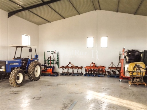 Farm with 7.8ha with vineyard and machinery