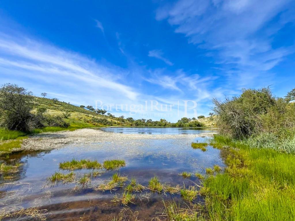 800-Hectare Property with 3 dams
