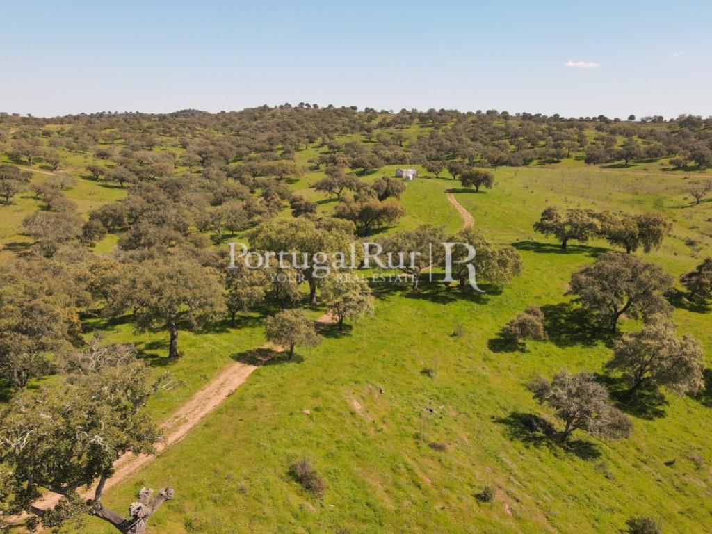 800-Hectare Property with 3 dams