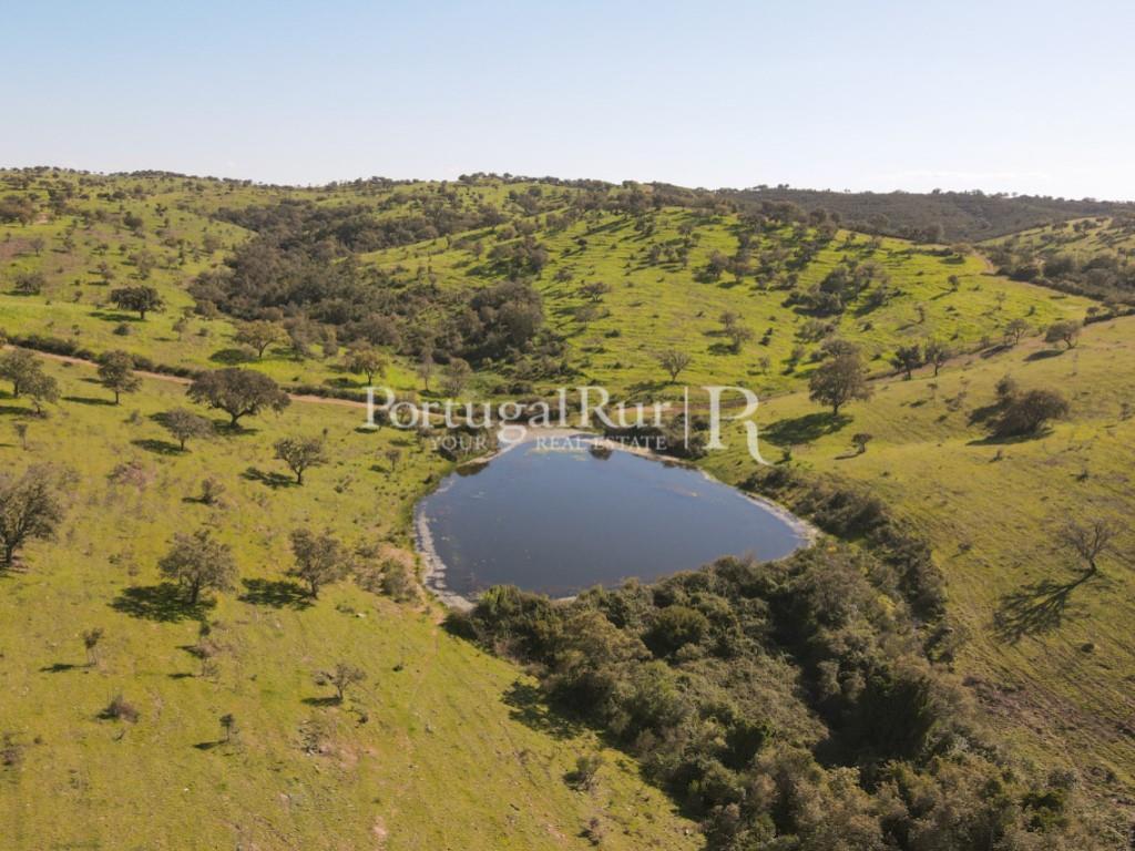 800-Hectare Property with 3 dams