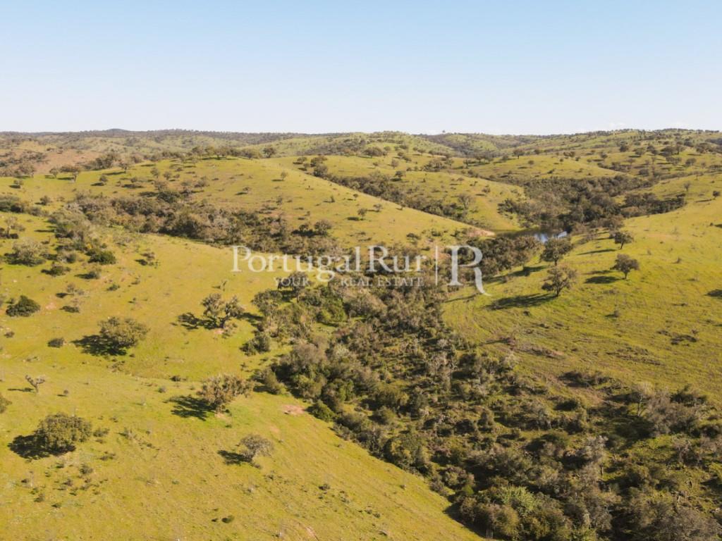 800-Hectare Property with 3 dams