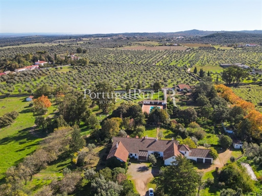 Farm 'Quinta do Bosque' with 6 ha and colonial house