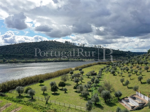 Charmante ferme de 5,7 hectares à côté du fleuve Tejo - Abrantes