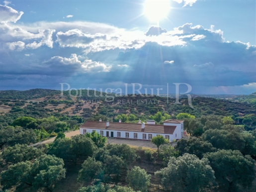 Alentejo property with approximately 9.6 ha with a large hill house