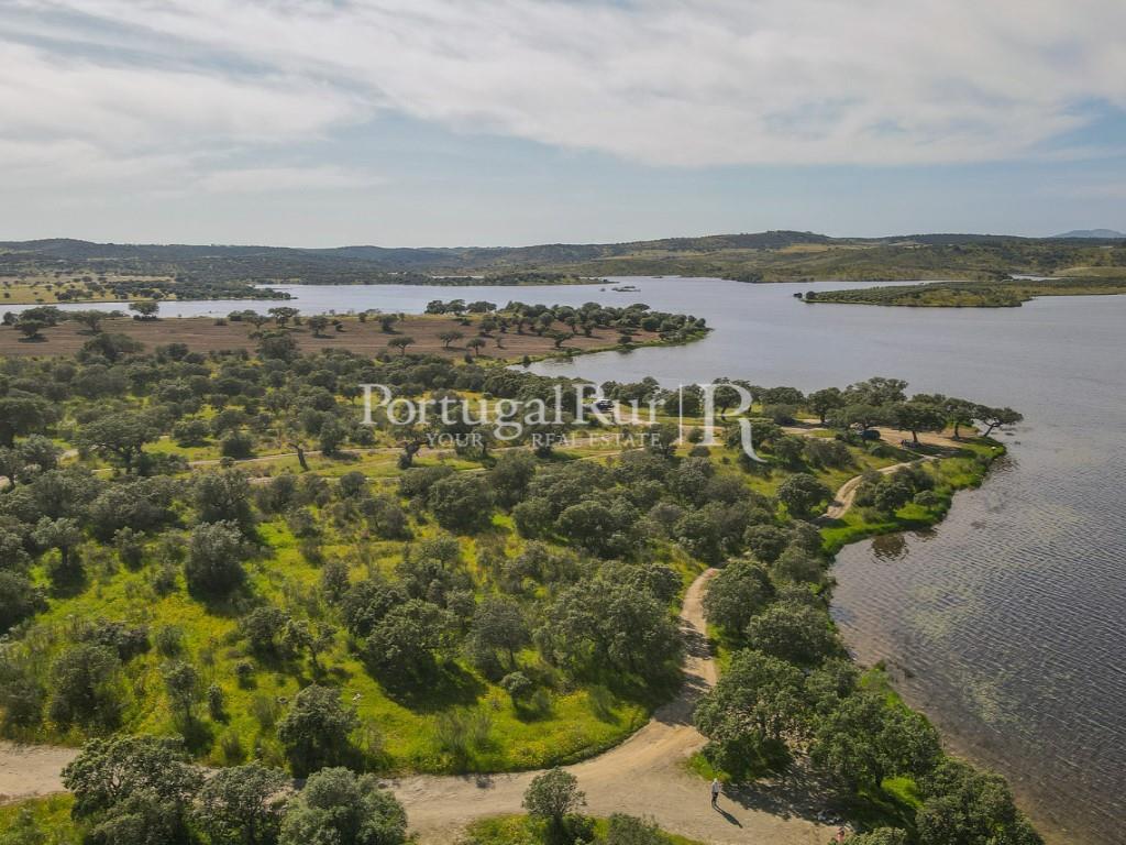 Property with 5.9 hectares, located near the historical village of Terena
