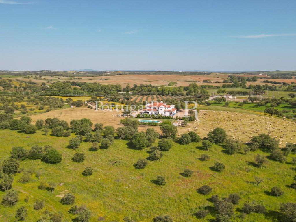 Property with 5.9 hectares, located near the historical village of Terena