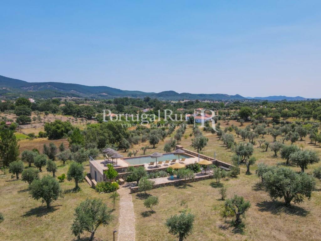 Magnificent farm in Serra de S. Mamede with Rural Tourism