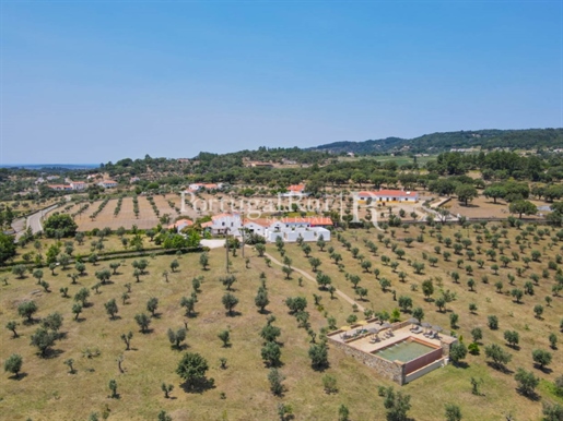 Quinta magnífica na Serra de S. Mamede com Turismo Rural