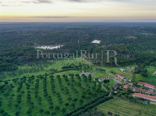 Farm with 293 hectares, large forest area, several dams and an urban center