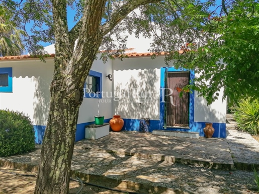Propriété typique de l'Alentejo avec maison de 3 chambres à Alvito