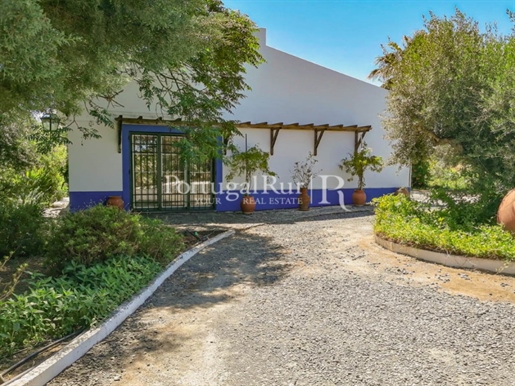 Alentejo typical property with 3 bedroom house in Alvito