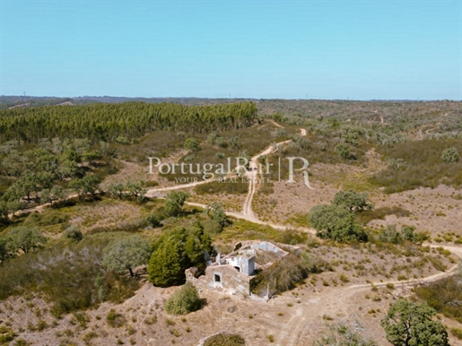 Farm with 71 hectares and old houses in the coastal area of Alentejo