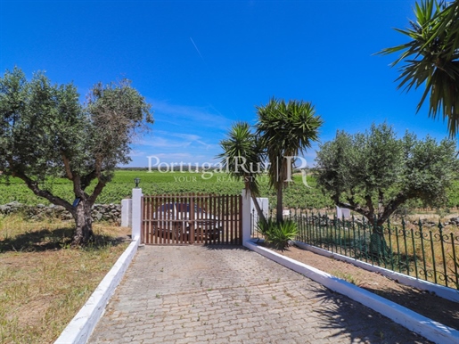 Three-Bedroom Monte Alentejano in Reguengos de Monsaraz