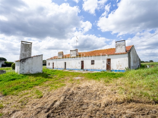 Farm with 1.4 ha, 55 minutes from Lisbon