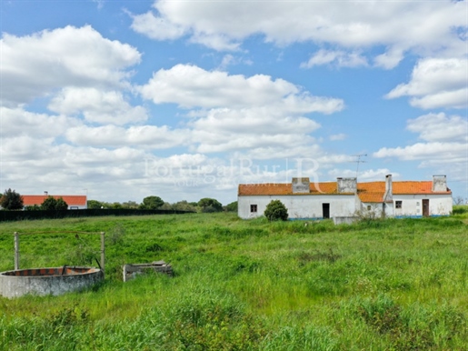 Farm with 1.4 ha, 55 minutes from Lisbon