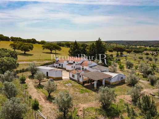 Gospodarstwo o powierzchni 6,5 hektara z domem i aneksami w Avis - Alentejo