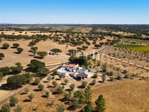 Quinta com 6,5 hectares com casa e anexos em Avis - Alentejo