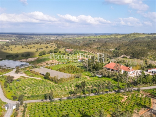 Herdade com 149 Hectares no Litoral Alentejano