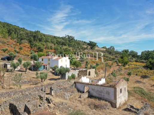 Farm with 5,5 hectares and several houses in Portalegre