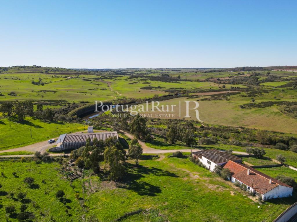 Herdade com 53 hectares em Castro Verde