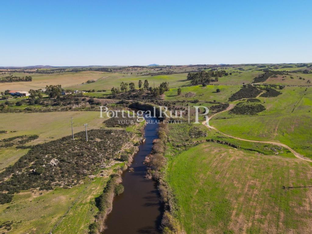 Herdade com 53 hectares em Castro Verde