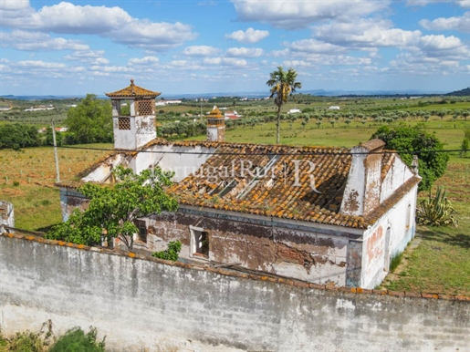 Farm with 2.7 hectares to restore near Estremoz