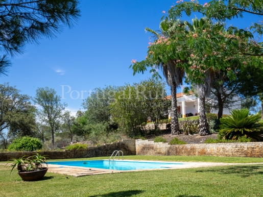 Alentejo typical property with 5.5 hectares and 4 chambres - Avis