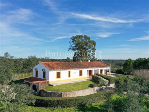 Alentejo typical property with 5.5 hectares and 4 chambres - Avis