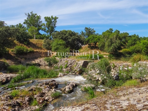 Farm with 6,396 square metres near Ribeira de Sor