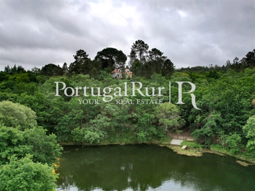 Quinta do Rio Dão - 5 hectares