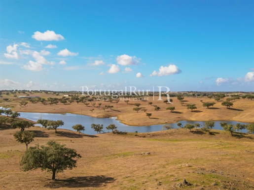 Farm with 844 hectares with livestock vocation in Beja region