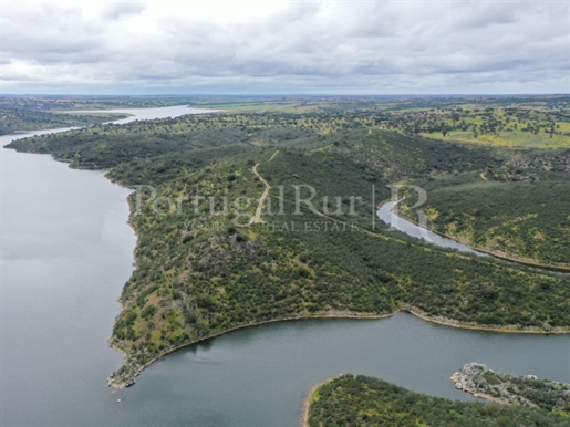 Domaine des barrages (698 hectares) à Alqueva