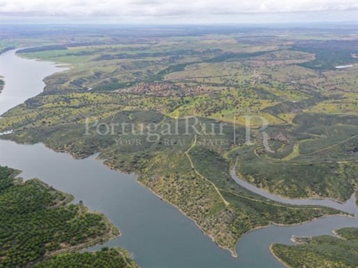 Estate of the dams (698 hectares) in Alqueva