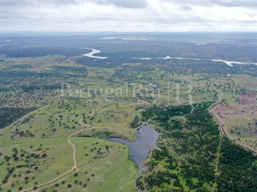 Estate of the dams (698 hectares) in Alqueva