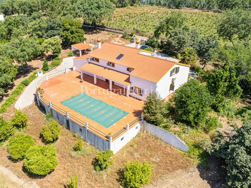 Quinta com 2,6 hectares em Ribeira de Nisa