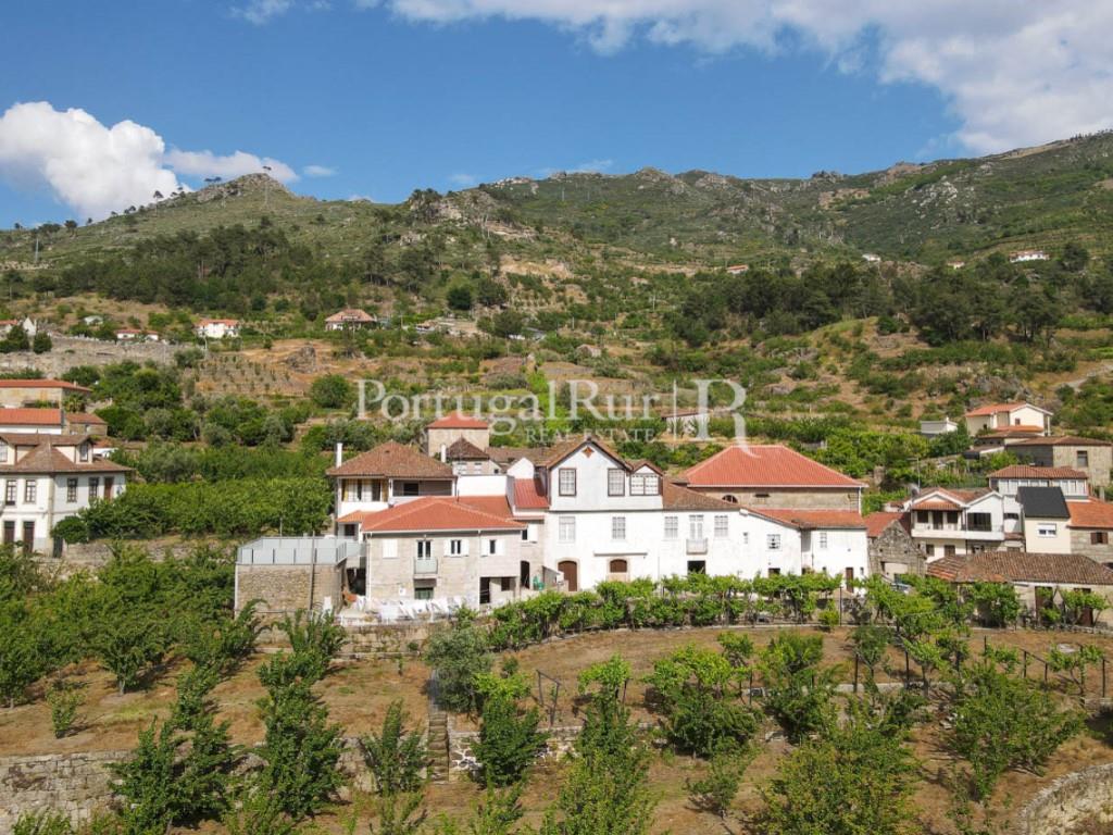 Century-Old Farm with Manor House in Viseu