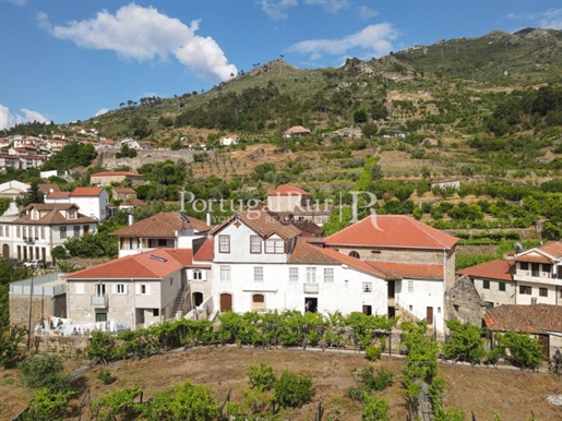 Century-Old Farm with Manor House in Viseu