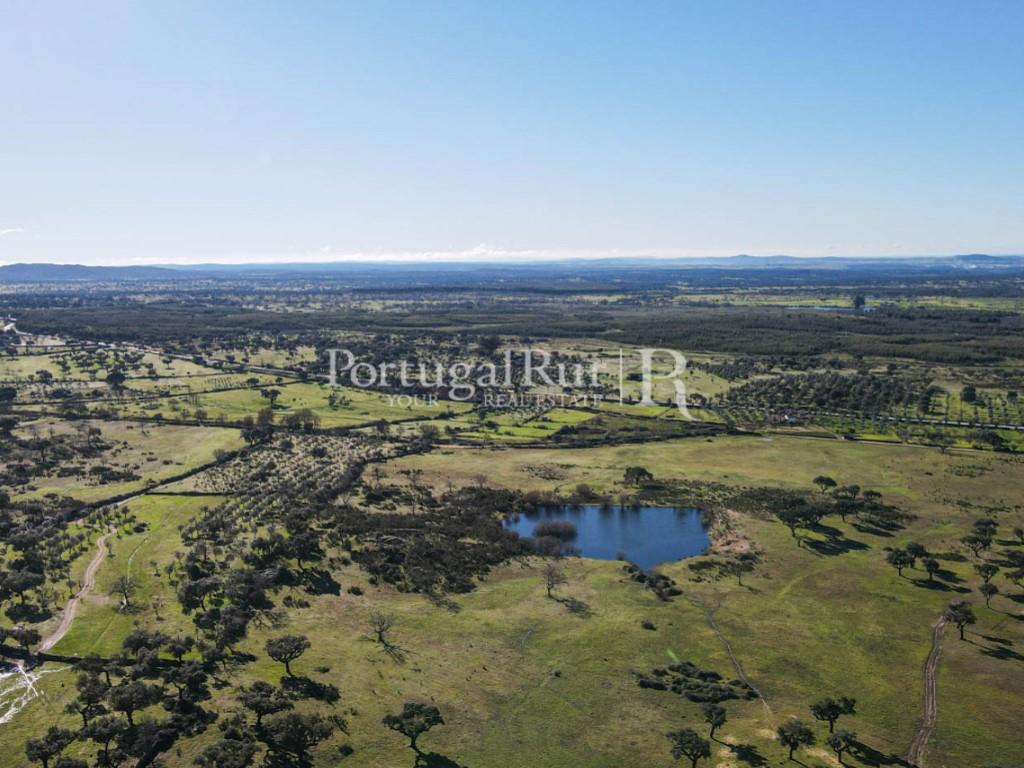 Livestock and hunting property with house in the area of Portalegre