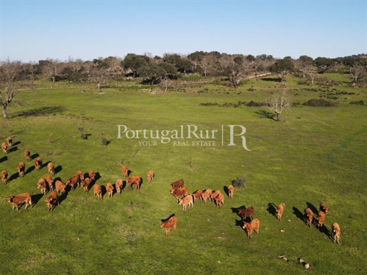 Domaine d'élevage et de chasse avec maison dans la région de Portalegre