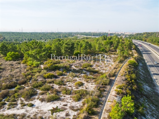 Plot approved for logistics purposes in Seixal