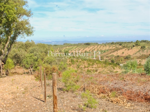 3,9-Hectare plot of land in Malpica do Alentejo