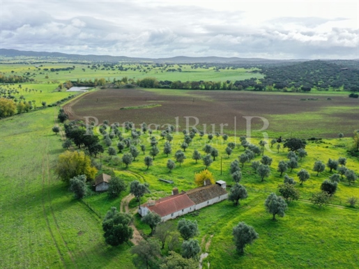 Beautiful estate with 122 ha, 2 dams, old hill and pivot