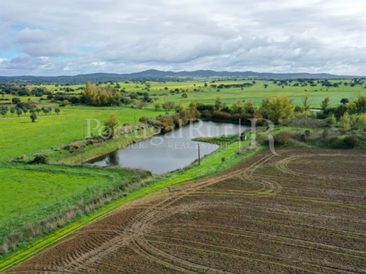 Beautiful estate with 122 ha, 2 dams, old hill and pivot