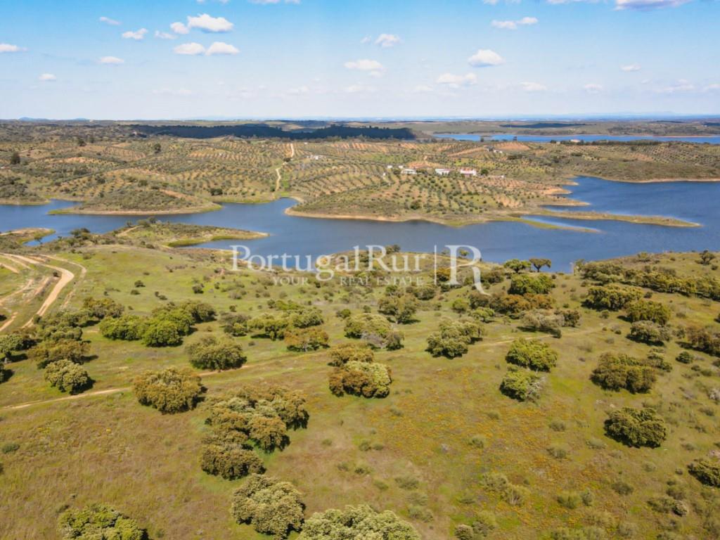 Farm bordering the Alqueva Lake with equestrian aptitude