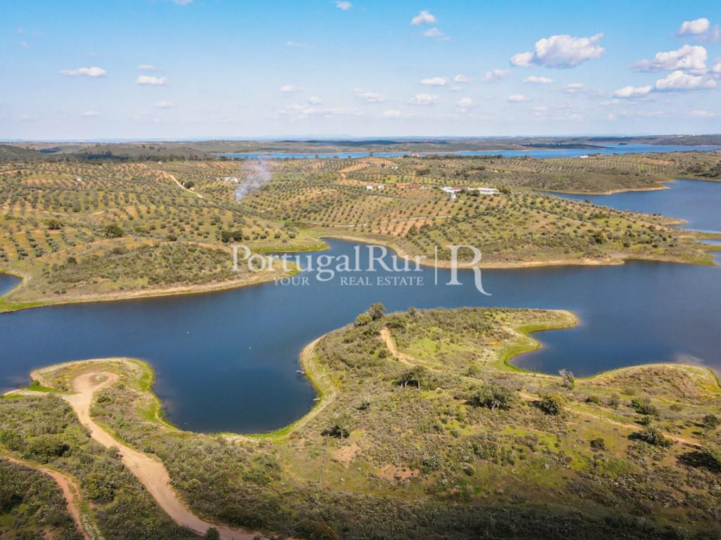 Farm bordering the Alqueva Lake with equestrian aptitude