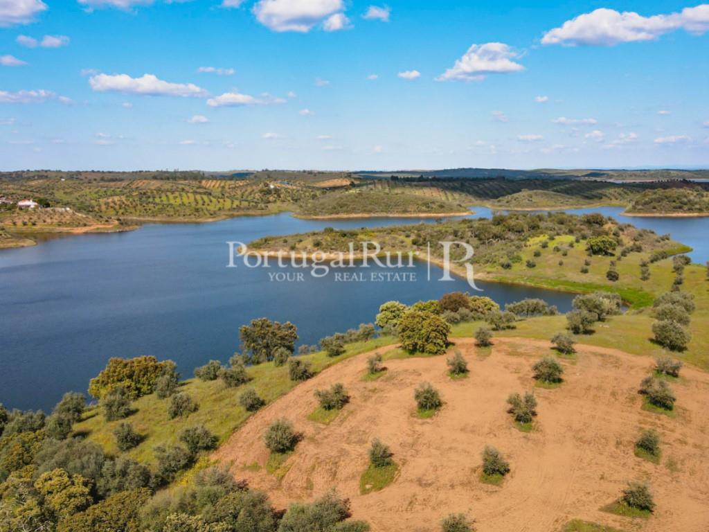 Farm bordering the Alqueva Lake with equestrian aptitude